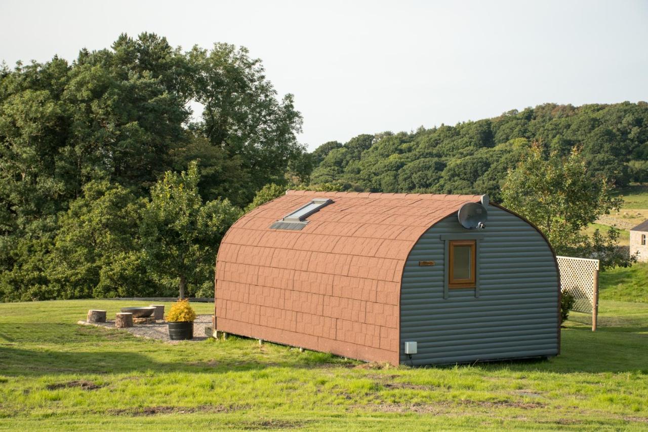 فيلا Wild Northumberland Glamping هيكسهام المظهر الخارجي الصورة