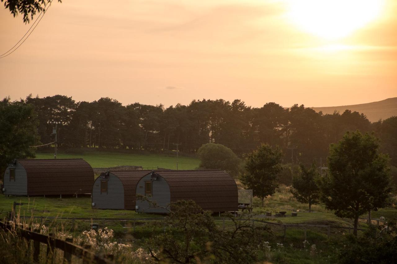 فيلا Wild Northumberland Glamping هيكسهام المظهر الخارجي الصورة